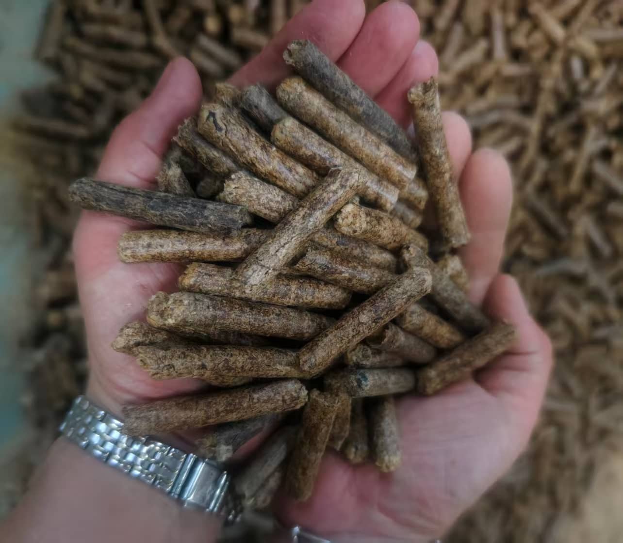 Mesin Pelet Kulit Kacang Tanah Biomassa.png