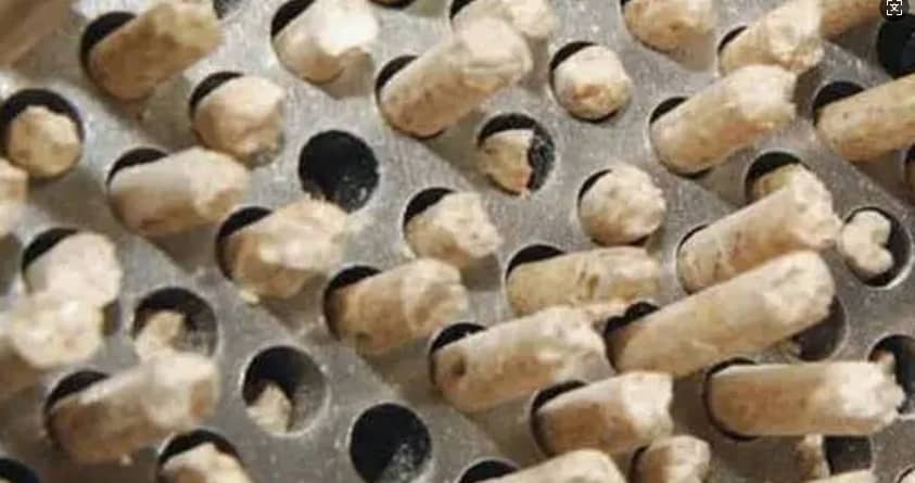 Mesin Pembuat Pelet Sekam Padi.png Mesin Pembuat Pelet Sekam Padi.png